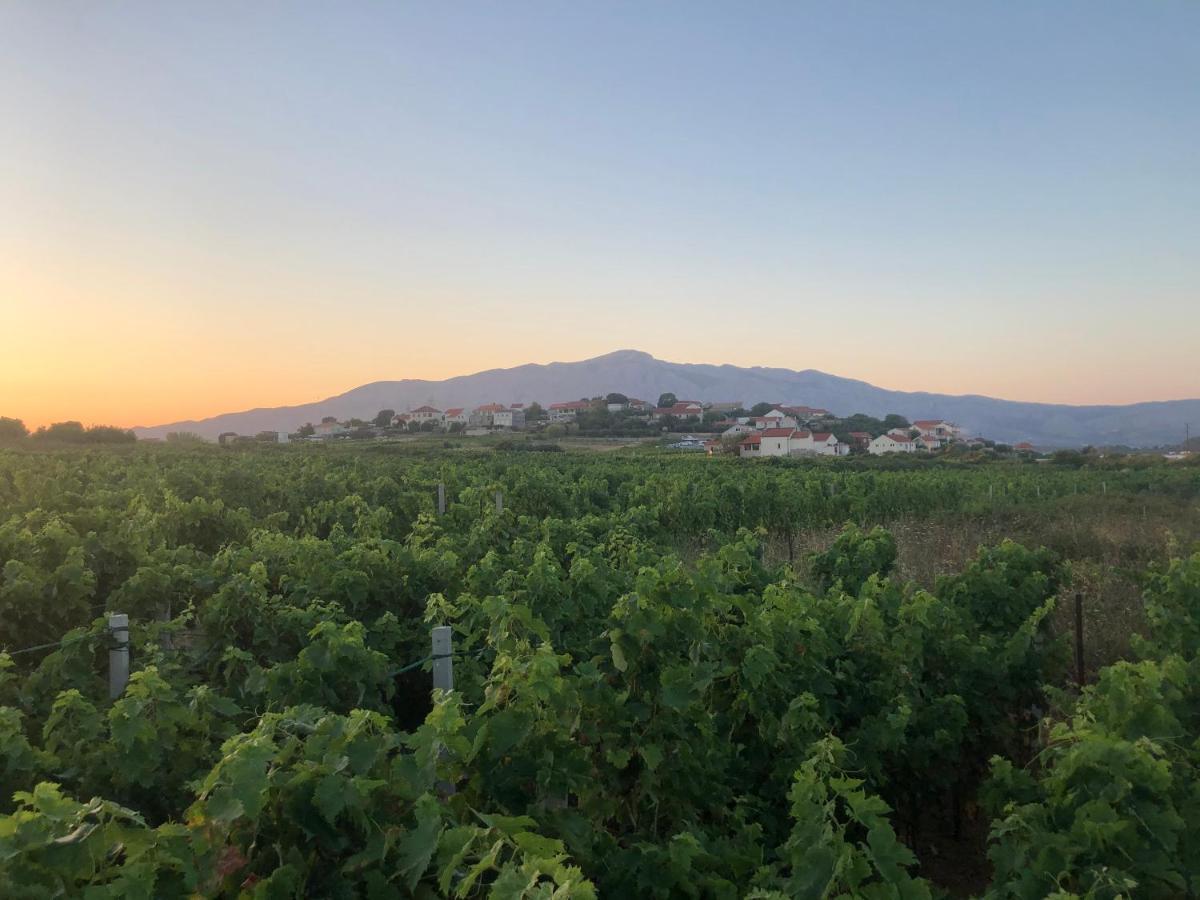 Adrian'S Apartments & Winery 鲁巴达 外观 照片
