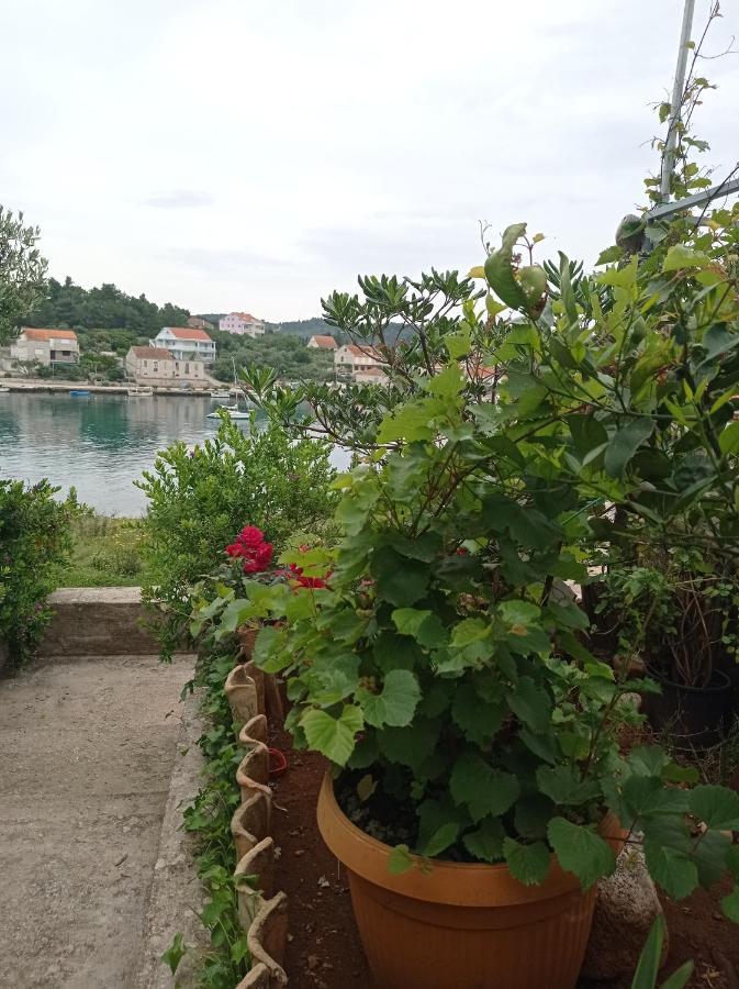 Adrian'S Apartments & Winery 鲁巴达 外观 照片
