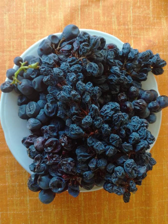 Adrian'S Apartments & Winery 鲁巴达 外观 照片